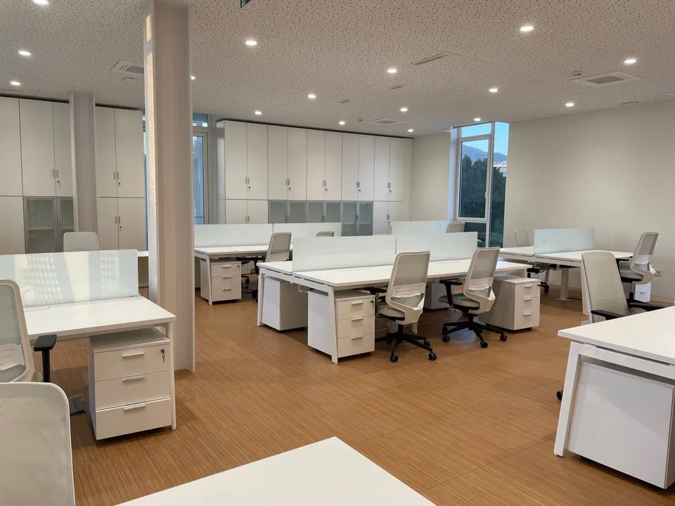 Mostrador de recepción junto a puestos de trabajo acristalados