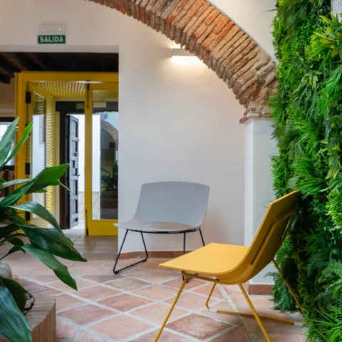 Entrada con muro verde, silla amarilla y suelo en barro cocido
