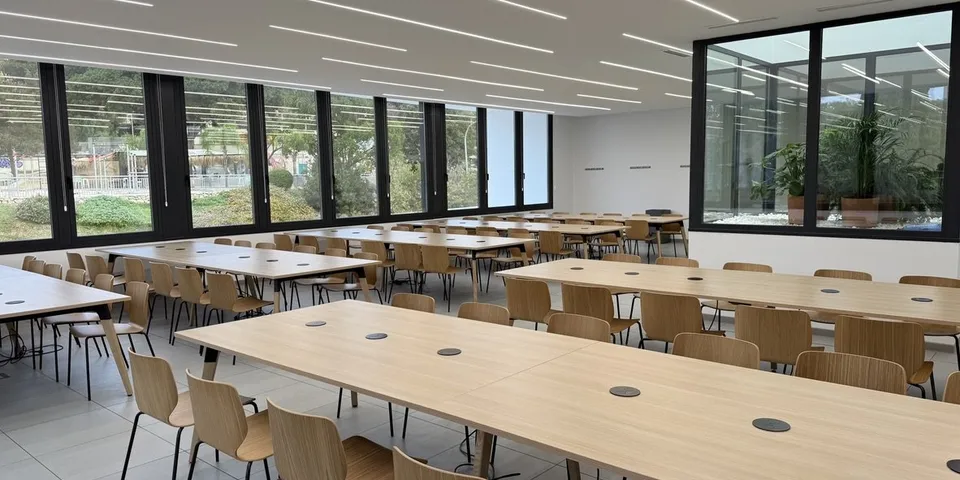 Sala de lectura con mesas colectivas y luz natural